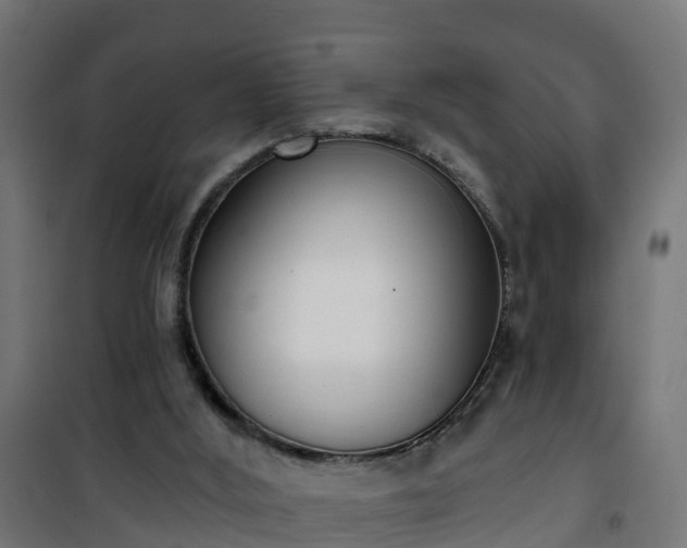 X0000101400012200807141207