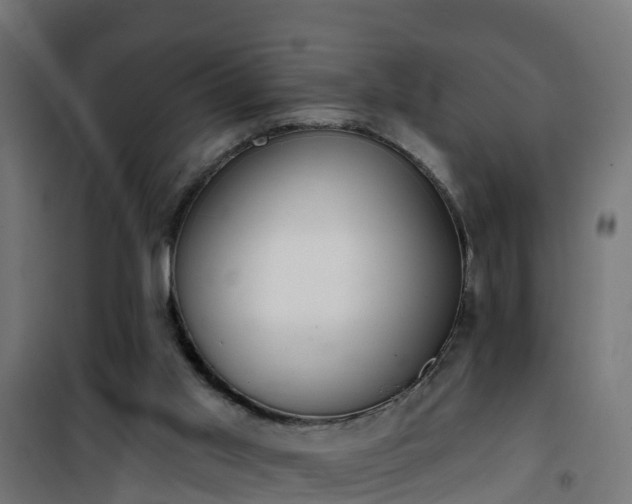 X0000101400013200807141207