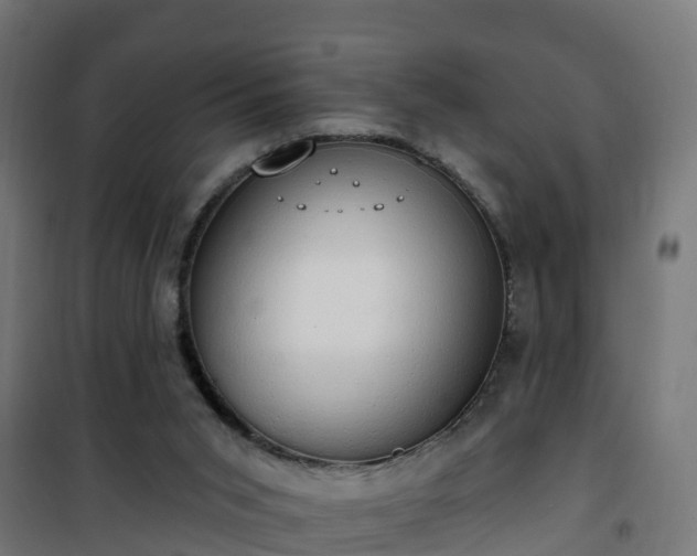 X0000101400015200807141207