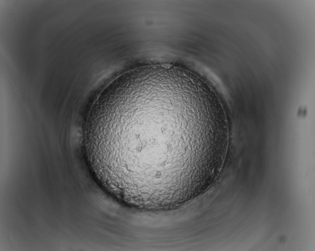 X0000101400017200807141207