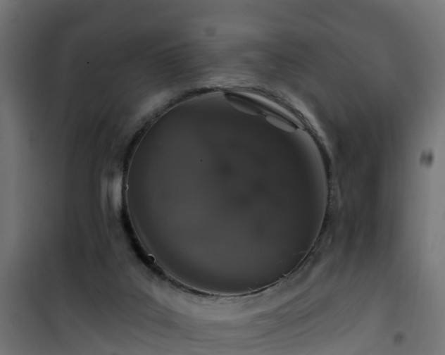 X0000101400019200807141207