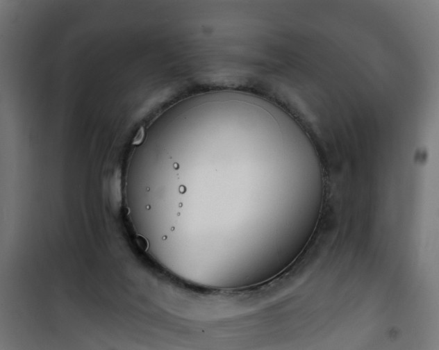 X0000101400020200807141207