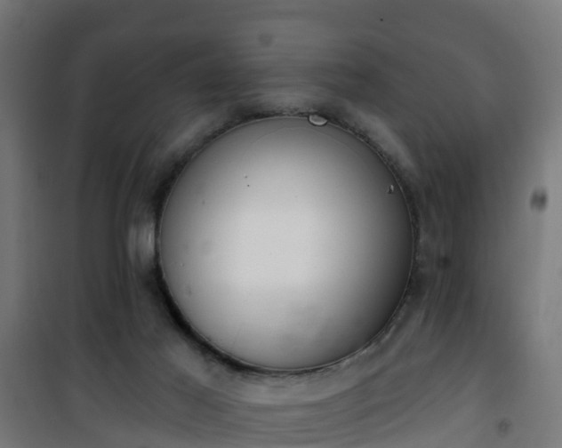 X0000101400021200807141207