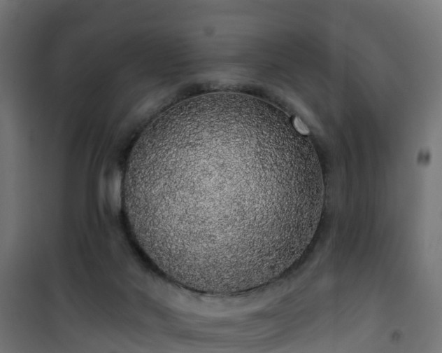 X0000101400022200807141207