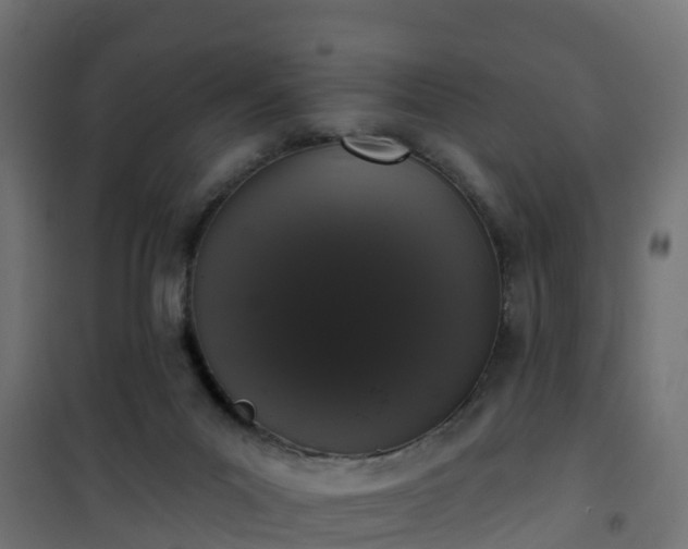 X0000101400023200807141207