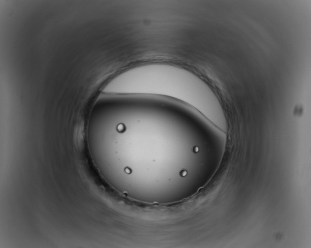 X0000101400024200807141207