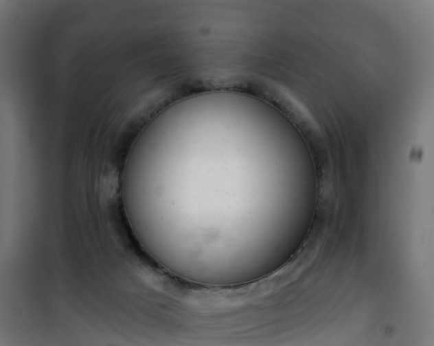 X0000101400025200807141207