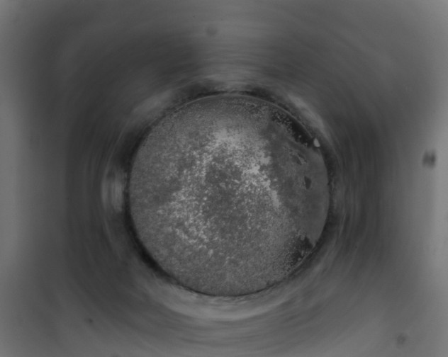 X0000101400026200807141207