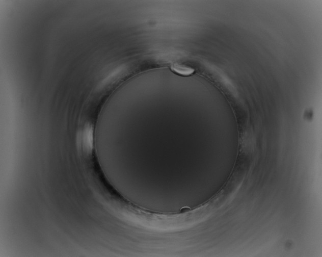 X0000101400027200807141207