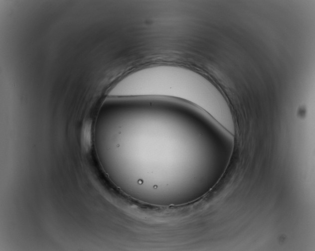 X0000101400028200807141207