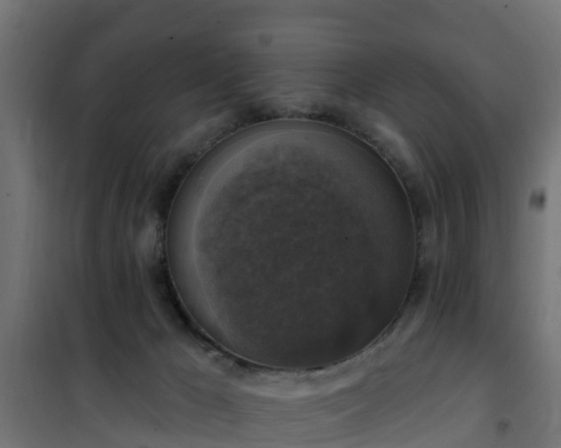 X0000101400029200807141207