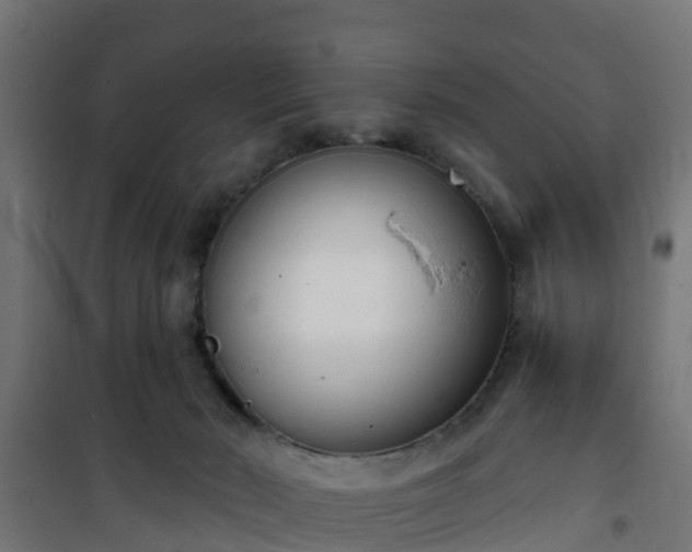 X0000101400030200807141207