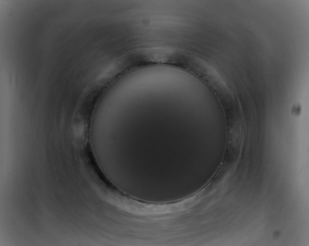 X0000101400031200807141207