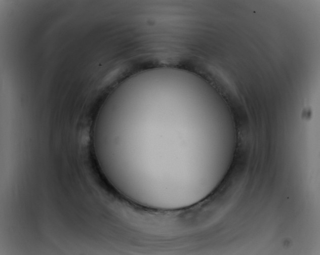 X0000101400032200807141207