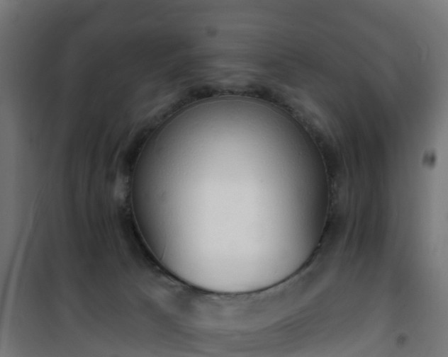 X0000101400033200807141207