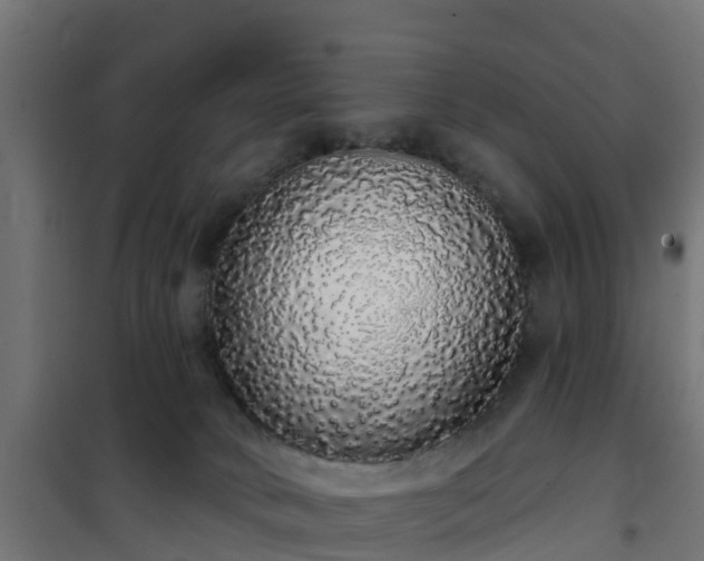 X0000101400034200807141207