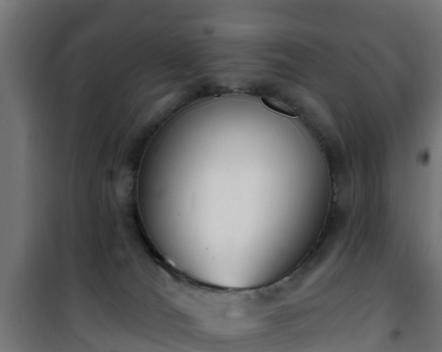 X0000101400036200807141207