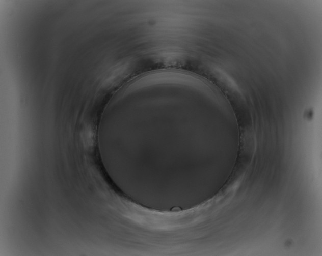 X0000101400039200807141207