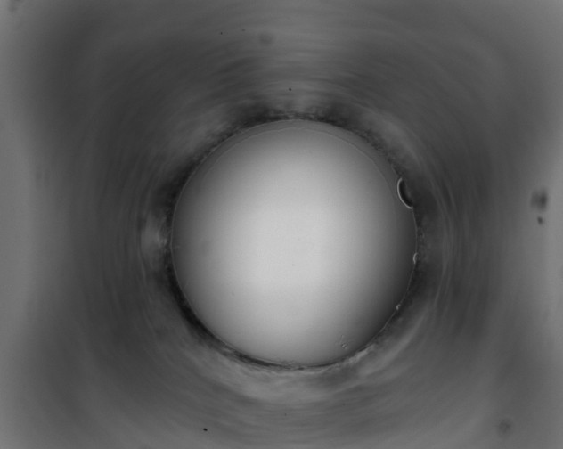 X0000101400040200807141207