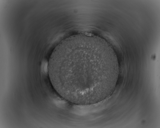 X0000101400041200807141207