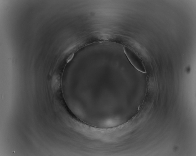 X0000101400043200807141207