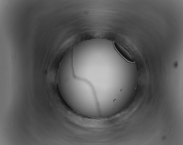 X0000101400044200807141207