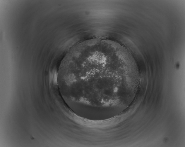 X0000101400046200807141207