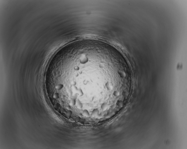 X0000101400049200807141206