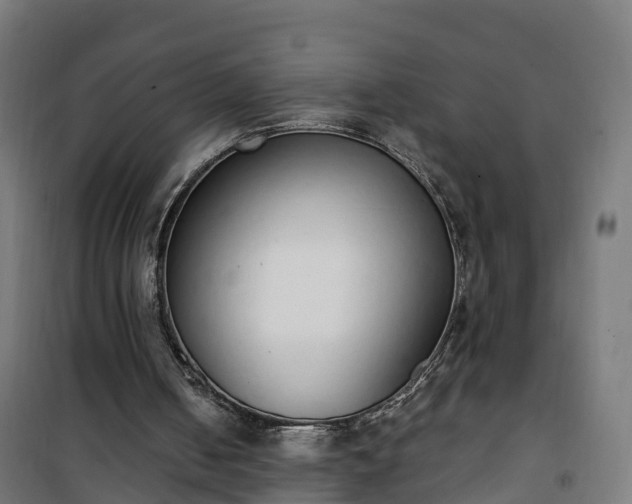 X0000101400050200807141206