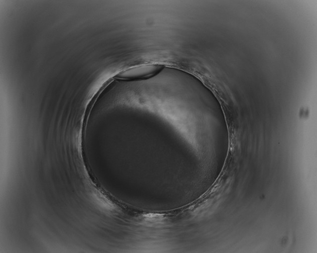 X0000101400052200807141206