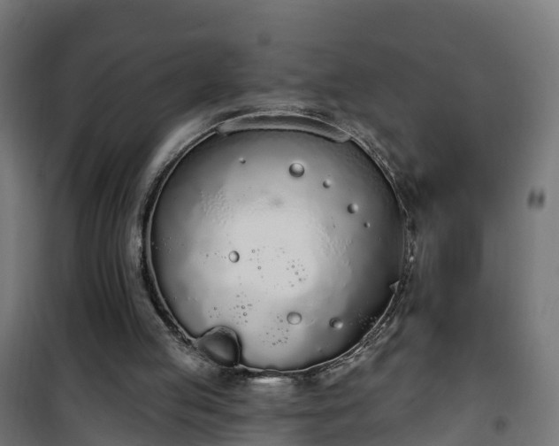 X0000101400053200807141206