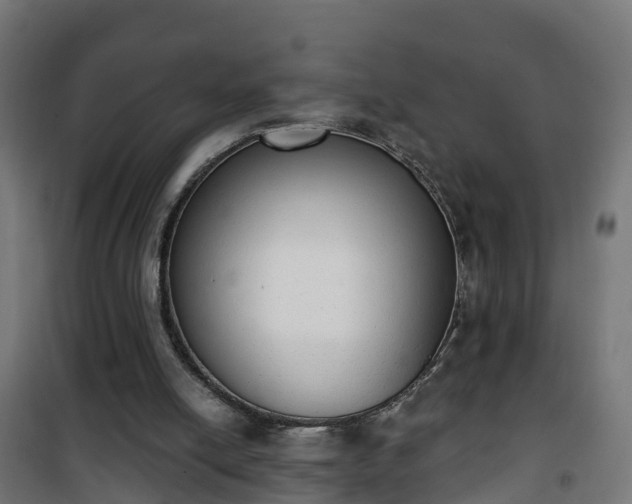 X0000101400054200807141206