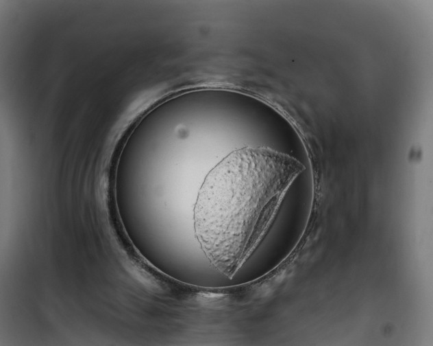 X0000101400055200807141206