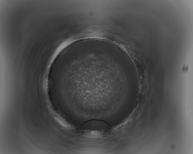 X0000101400056200807141206