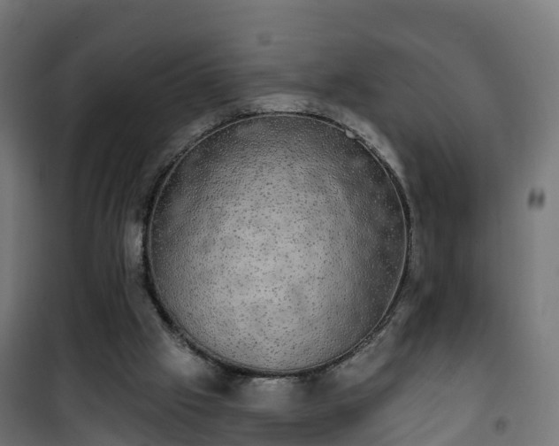 X0000101400057200807141206