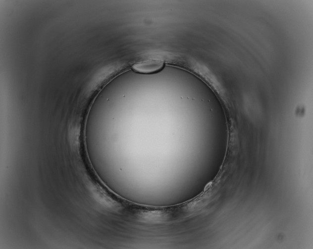 X0000101400058200807141206