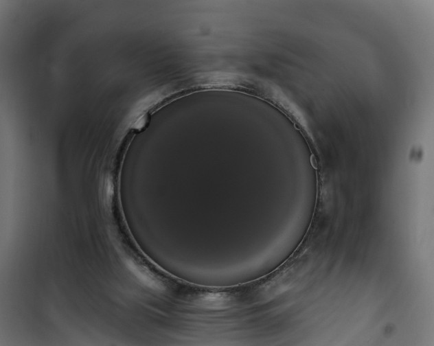 X0000101400059200807141206