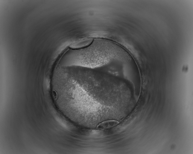 X0000101400060200807141206