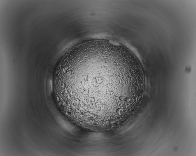 X0000101400061200807141207