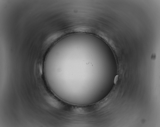 X0000101400062200807141207