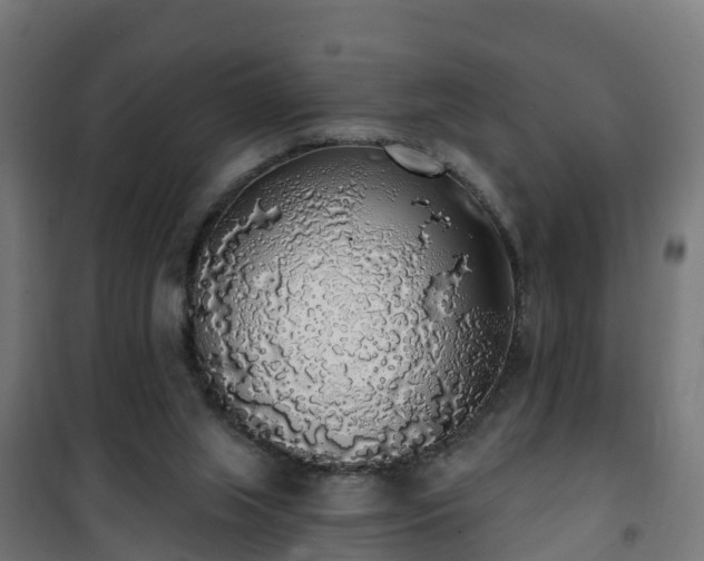 X0000101400063200807141207