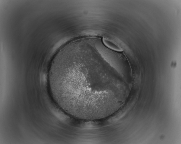 X0000101400064200807141207