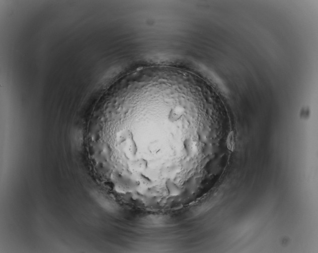 X0000101400065200807141207