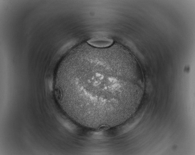 X0000101400068200807141207