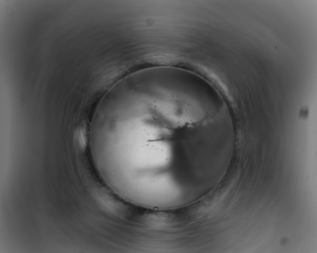 X0000101400069200807141207