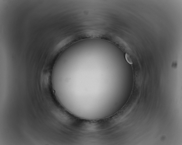 X0000101400071200807141207