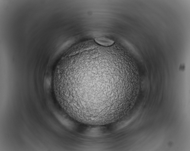 X0000101400072200807141207