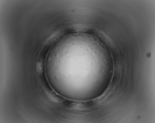 X0000101400074200807141207