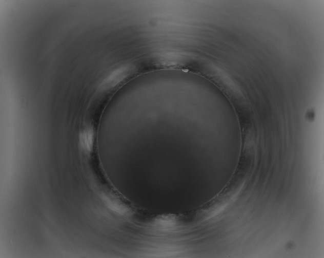 X0000101400076200807141207