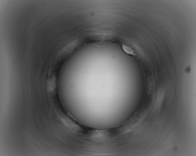 X0000101400077200807141207